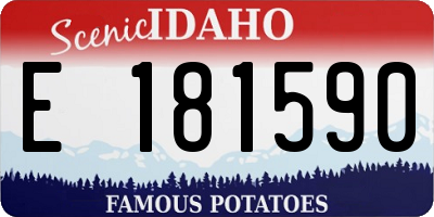 ID license plate E181590