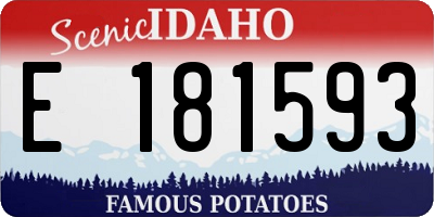ID license plate E181593