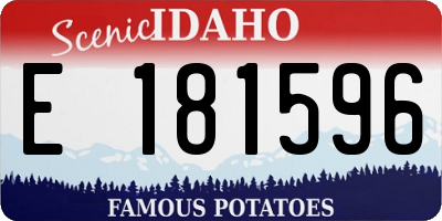 ID license plate E181596
