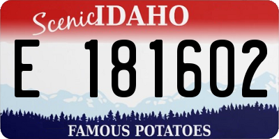 ID license plate E181602