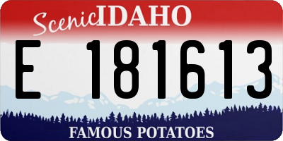 ID license plate E181613