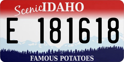 ID license plate E181618