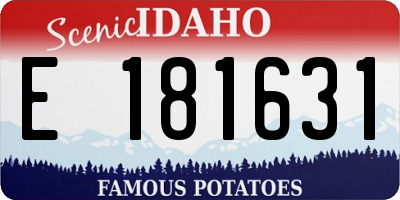 ID license plate E181631