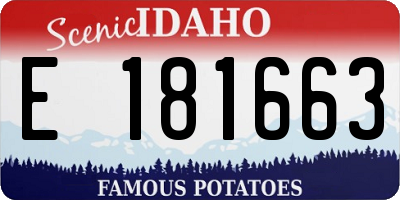 ID license plate E181663
