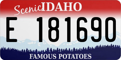 ID license plate E181690