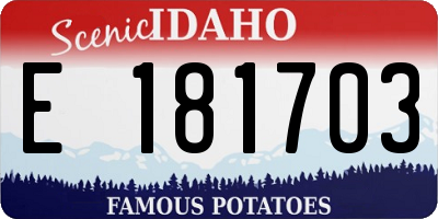 ID license plate E181703