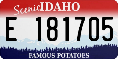 ID license plate E181705