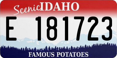 ID license plate E181723