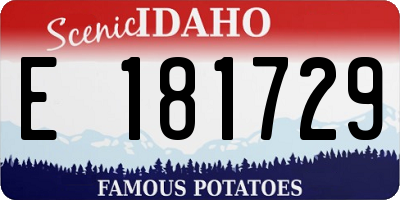 ID license plate E181729