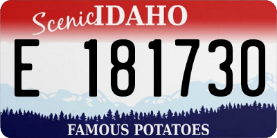 ID license plate E181730