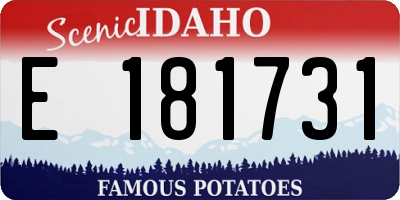 ID license plate E181731