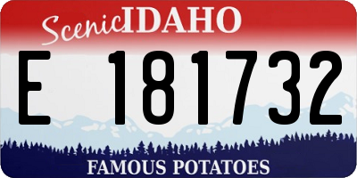 ID license plate E181732