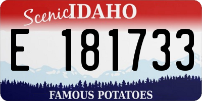 ID license plate E181733