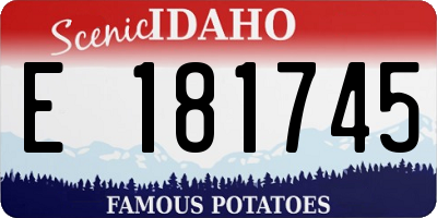 ID license plate E181745