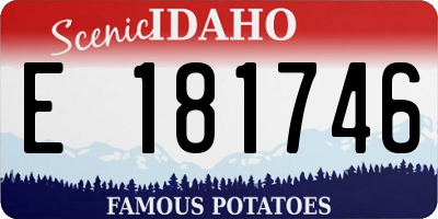 ID license plate E181746