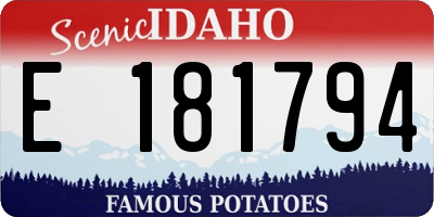 ID license plate E181794