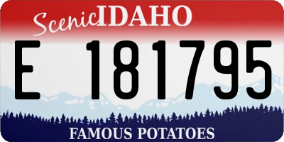 ID license plate E181795
