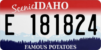 ID license plate E181824