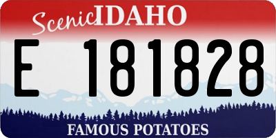 ID license plate E181828