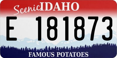 ID license plate E181873