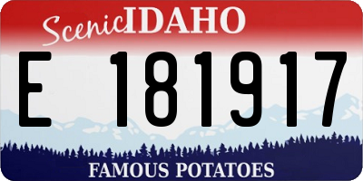 ID license plate E181917
