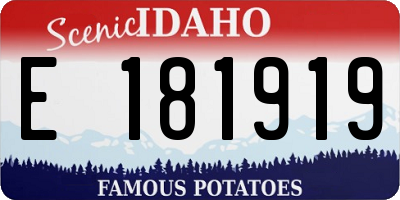 ID license plate E181919