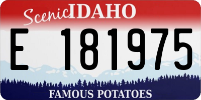 ID license plate E181975