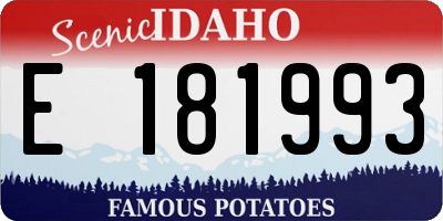 ID license plate E181993