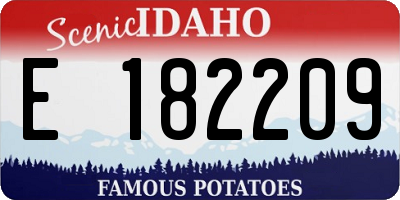 ID license plate E182209