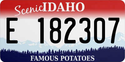 ID license plate E182307