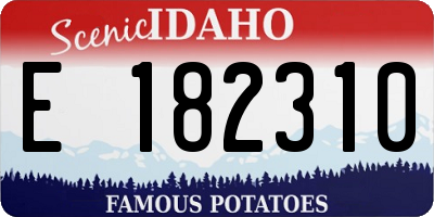 ID license plate E182310