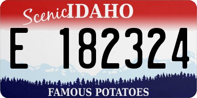 ID license plate E182324