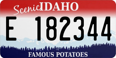 ID license plate E182344