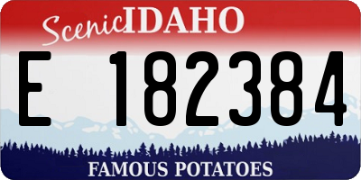 ID license plate E182384