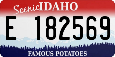ID license plate E182569