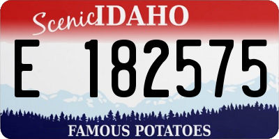 ID license plate E182575