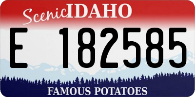 ID license plate E182585