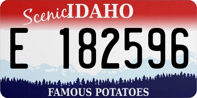 ID license plate E182596