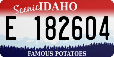 ID license plate E182604