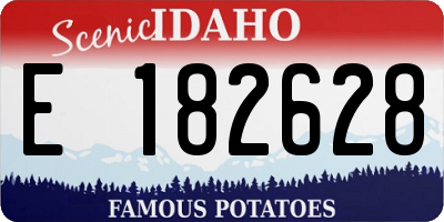 ID license plate E182628