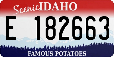 ID license plate E182663