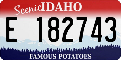 ID license plate E182743