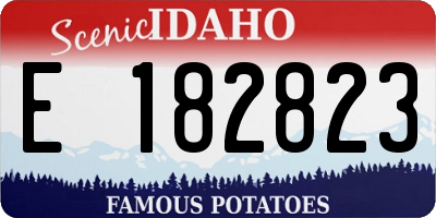 ID license plate E182823