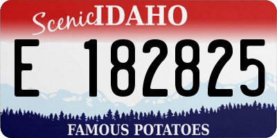 ID license plate E182825