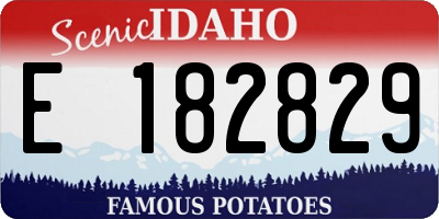 ID license plate E182829
