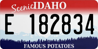 ID license plate E182834