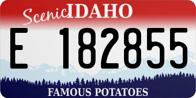 ID license plate E182855