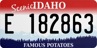 ID license plate E182863