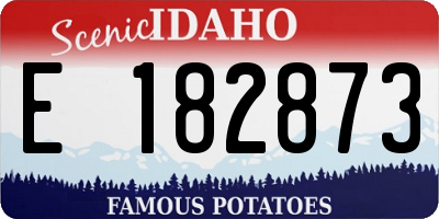 ID license plate E182873