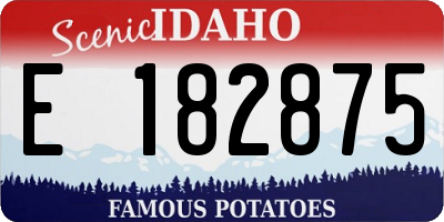 ID license plate E182875